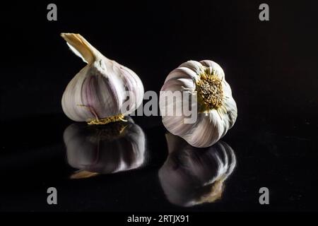 Goiania, Goias, Brésil – 24 mai 2023 : deux têtes d’ail sur une surface noire brillante. Banque D'Images