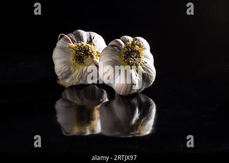 Goiania, Goias, Brésil – 24 mai 2023 : deux têtes d’ail sur une surface noire brillante. Banque D'Images