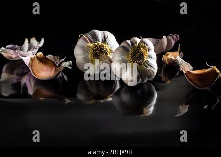 Goiania, Goias, Brésil – 24 mai 2023 : quelques têtes d’ail sur une surface noire brillante. Banque D'Images