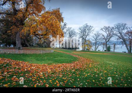 Parc la Perle du Lac - Genève, Suisse Banque D'Images