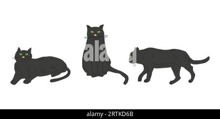 Les animaux dorment et s'assoient dans des poses différentes. Les chats sont noirs. Conception d'une bannière, d'une affiche pour une animalerie et de fournitures pour animaux de compagnie. Illustration vectorielle à plat. Illustration de Vecteur