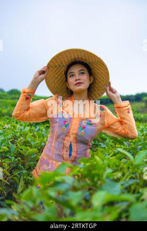 Une femme javanaise s'occupe de son jardin de thé quand elle porte une robe orange le matin Banque D'Images