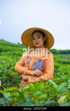 Une femme javanaise s'occupe de son jardin de thé quand elle porte une robe orange le matin Banque D'Images