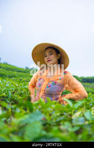 Une femme javanaise s'occupe de son jardin de thé quand elle porte une robe orange le matin Banque D'Images