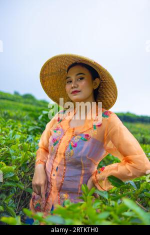 Une femme javanaise s'occupe de son jardin de thé quand elle porte une robe orange le matin Banque D'Images