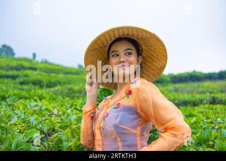Une femme javanaise s'occupe de son jardin de thé quand elle porte une robe orange le matin Banque D'Images