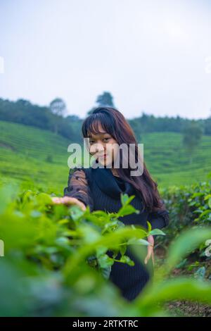 Une femme asiatique en robe noire pose devant une très belle plantation de thé le matin Banque D'Images