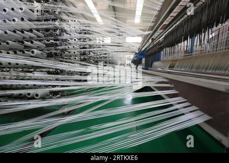 L'équipement mécanique de la chaîne de production de tissage plastique fonctionne dans une usine Banque D'Images