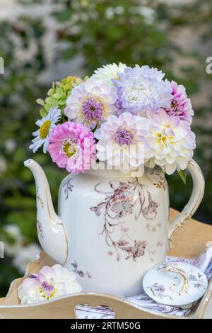 bouquet de dahlias blancs et roses et asters en boîte de café vintage Banque D'Images