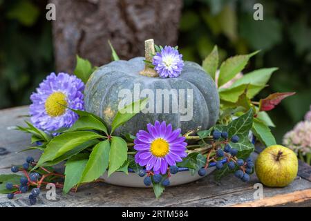 arrangement d'automne avec citrouille verte, couronne de feuilles et de baies rampantes de virginie et fleurs d'aster violettes Banque D'Images