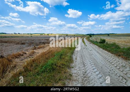 Beau panorama de collines et de champs. Ciel bleu avec peu de nuages. Un chemin de terre au premier plan. Région de Roztocze. Narol, Pologne orientale. Banque D'Images