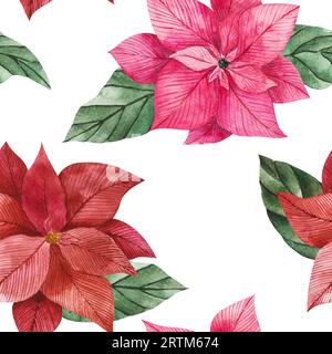 Aquarelle motif sans couture de fleurs de poinsettia en rouge et rose avec des feuilles vertes vibrantes. Clipart isolé pour la conception de Noël, impressions, emballage Banque D'Images