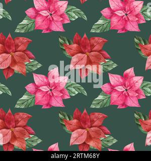 Aquarelle motif sans couture de fleurs de poinsettia en rouge et rose avec des feuilles vertes vibrantes. Clipart isolé pour la conception de Noël, impressions, emballage Banque D'Images