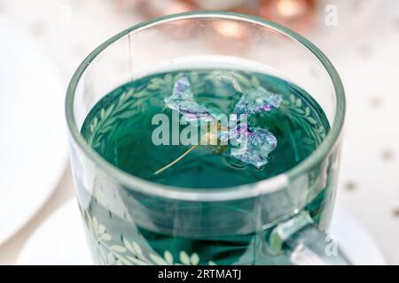 Tasse en verre de pois papillon ou thé de pois bleus, infusion de tisane, gros plan Banque D'Images