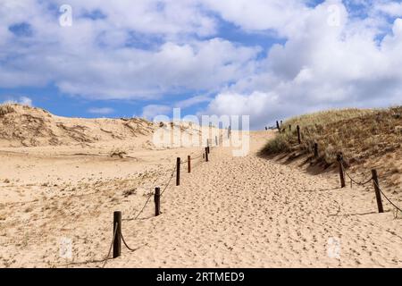 Sentier touristique à travers les dunes près du village de Czolpino dans le parc national Slovincien, Pologne Banque D'Images