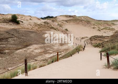 Sentier touristique à travers les dunes près du village de Czolpino dans le parc national Slovincien, Pologne Banque D'Images