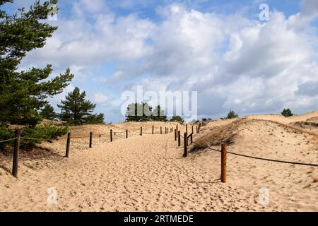 Sentier touristique à travers les dunes près du village de Czolpino, Pologne Banque D'Images