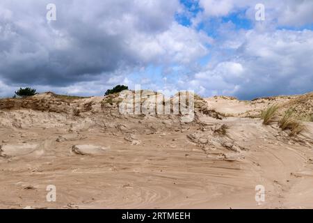 Sentier touristique à travers les dunes près du village de Czolpino dans le parc national Slovincien, Pologne Banque D'Images