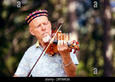 Promenade musicale en forêt sur le thème du baroque. Violoniste. Cordon. France. Banque D'Images