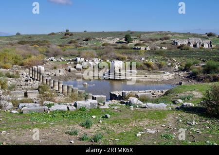 Colonnes antiques et temple et piscine dans les ruines de l'ancien Milet. Didim, Aydın, Türkiye. Banque D'Images