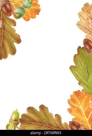 Chêne d’automne – glands et feuilles. Illustration à l'aquarelle. Parfait pour les cartes de vœux, couvertures, impressions, motifs, scrapbooking, logo Banque D'Images