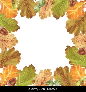 Chêne d’automne – glands et feuilles. Illustration à l'aquarelle. Parfait pour les cartes de vœux, couvertures, impressions, motifs, scrapbooking, logo Banque D'Images