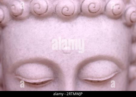 Temple bouddhiste. Statue de Bouddha en marbre dans le jardin. Gros plan sur le visage. Vung Tau. Vietnam. Banque D'Images