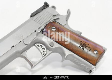 Pistolet Safari Arms Matchmaster modèle 911 en cal. 45ROUNDS Banque D'Images