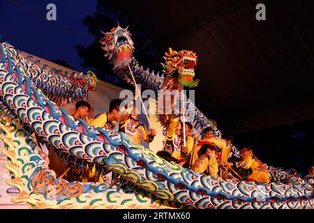 Danseuses dragons, nouvel an chinois. Ho Chi Minh ville. Vietnam. Banque D'Images