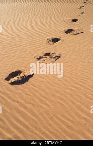 Laissant des traces du sable Banque D'Images