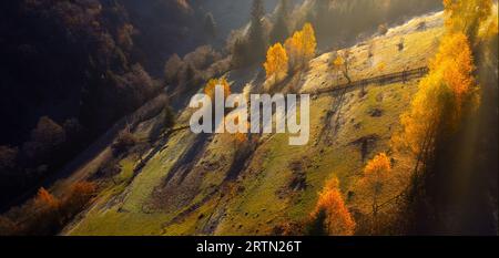 Au coeur de l'automne : un lever de soleil à couper le souffle sur les bois de montagne et le brouillard matinal Banque D'Images