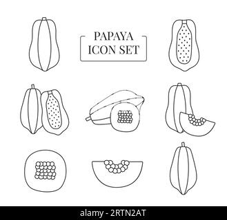 Fruit de papaye entier et demi, coupé en tranches, ensemble d'icônes de ligne dans le vecteur Illustration de Vecteur