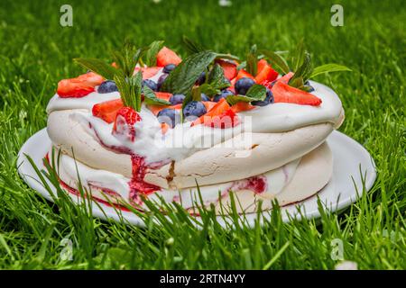 Gâteau Pavlova sur une herbe verte luxuriante Banque D'Images