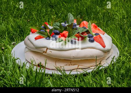 Gâteau Pavlova sur une herbe verte luxuriante Banque D'Images