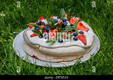 Gâteau Pavlova sur une herbe verte luxuriante Banque D'Images