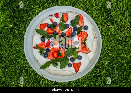 Gâteau Pavlova sur une herbe verte luxuriante Banque D'Images