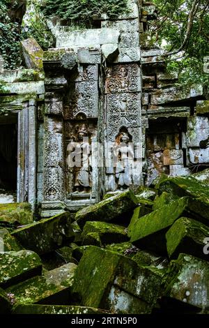 Les ruines du temple Beng Mealea ou Boeng Meale se trouvent à environ 40 km d'Angkor. En grande partie intacte, c'est une oasis de calme. Banque D'Images