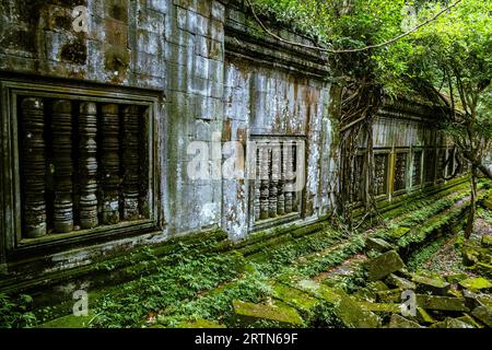 Les ruines du temple Beng Mealea ou Boeng Meale se trouvent à environ 40 km d'Angkor. En grande partie intacte, c'est une oasis de calme. Banque D'Images