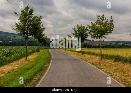 Route rurale à Ceske Stredohori, République tchèque Banque D'Images