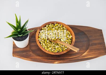 Germination de haricot de gramme vert dans un bol et une cuillère en bois, décoré avec un fond blanc isolé. Germes isolés en fond blanc et décoratifs. Banque D'Images