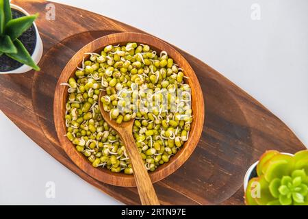 Germination de haricot de gramme vert dans un bol et une cuillère en bois, décoré avec un fond blanc isolé. Germes isolés en fond blanc et décoratifs. Banque D'Images