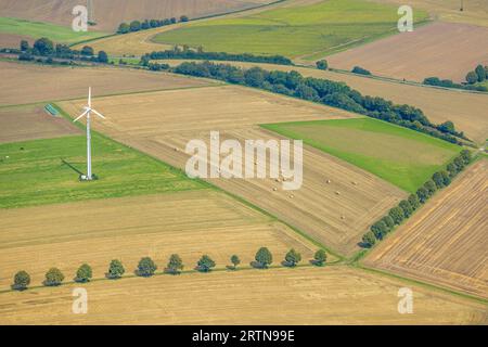 Luftbild, Windrad und Wiesen und Felder mit Baumallee, Frömern, Fröndenberg, Ruhrgebiet, Rhénanie-du-Nord-Westphalie, Deutschland ACHTUNGxMINDESTHONORARx60xEURO *** vue aérienne, éolienne et prairies et champs avec allée arborée, Frömern, Fröndenberg, région de la Ruhr, Rhénanie du Nord Westphalie, Allemagne ATTENTIONxMINESTHONORARx60xEURO Banque D'Images