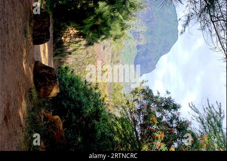 Panorama vue sur Kalalau Valley, Kauai, Hawaii - États-Unis d'Amérique Banque D'Images