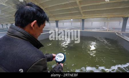 Le technicien vérifie la température de l'eau de l'étang de culture de mérou, Chine du Nord Banque D'Images