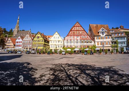 BADEN-WUERTTEMBERG : ESSLINGEN AM NECKAR - MARCHÉ Banque D'Images