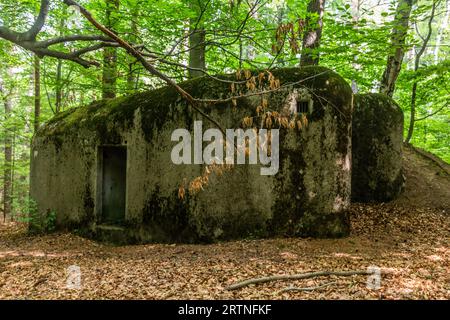 Casemate en béton de l'ère WW2 en République tchèque Banque D'Images