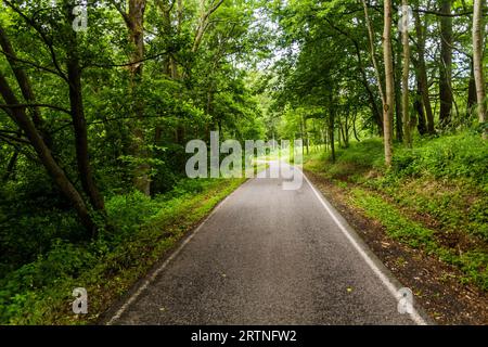 Route rurale à Ceske Stredohori, République tchèque Banque D'Images