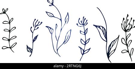 l'ensemble d'esquisses artistiques de vecteur laisse des éléments de symboles. Illustration de Vecteur