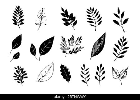 Ensemble de lino cut vector stamp feuilles noires et empreintes de branche sur fond blanc. Éléments floraux dessinés à la main. Illustration de Vecteur