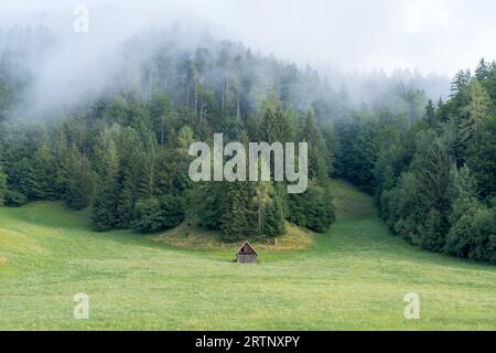 Une petite cabane en bois au bout d'un champ devant une forêt de pins avec des nuages partout dans les arbres en Slovénie Banque D'Images